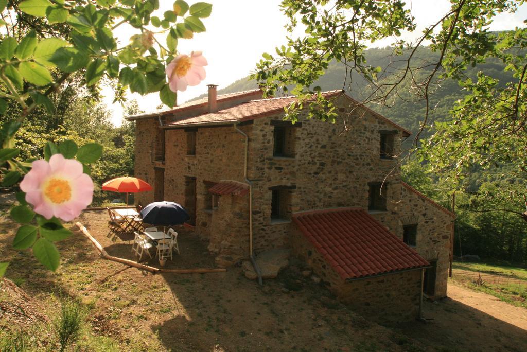 Chambres D'Hotes Mas La Tardosse Prats-de-Mollo-la-Preste Room photo